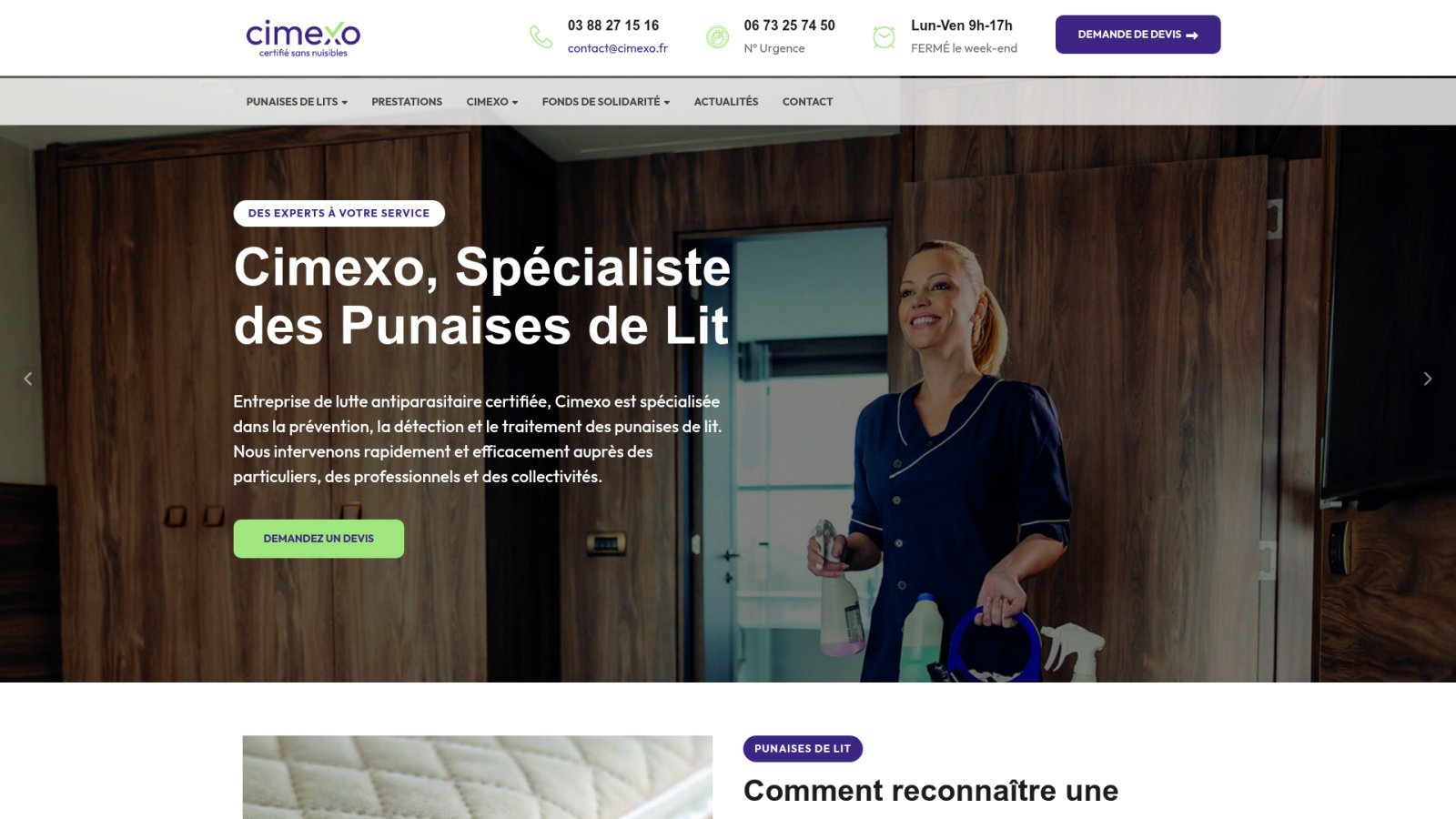 Pourquoi solliciter un professionnel certifié en désinsectisation ?